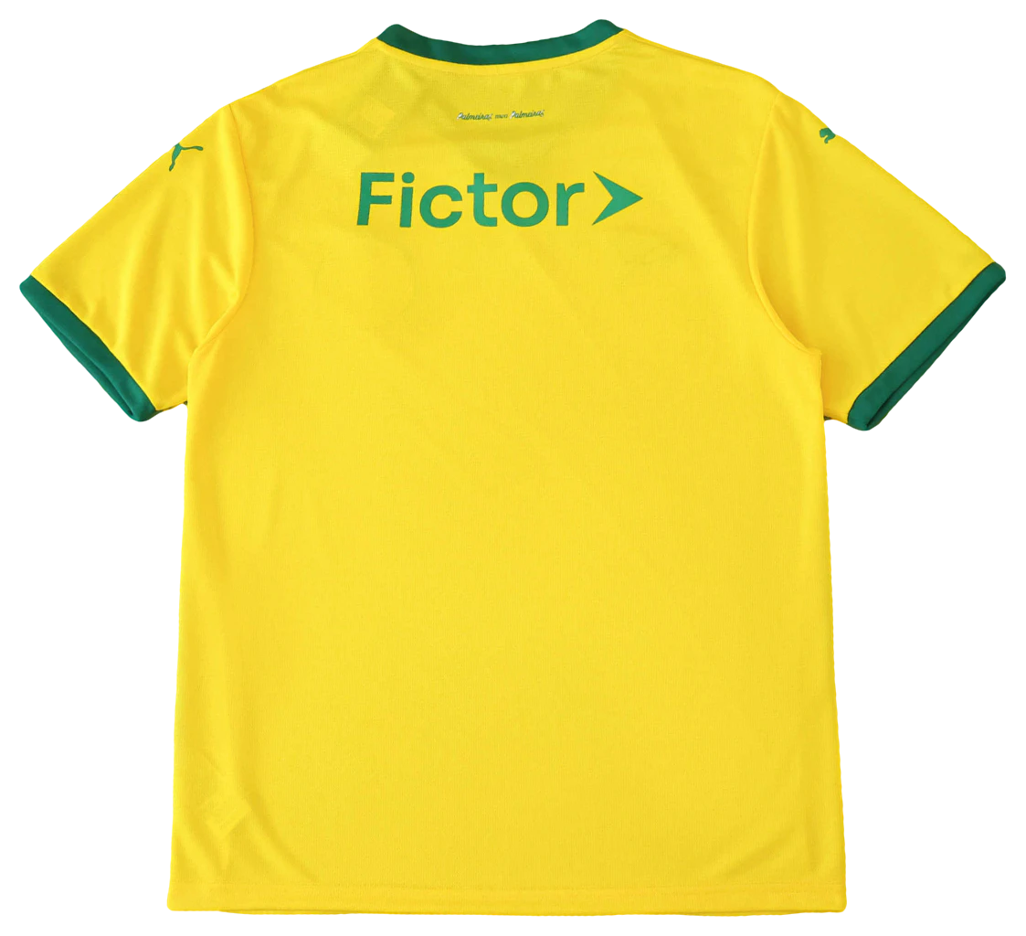 Camisa Palmeiras Third 25-26, costas